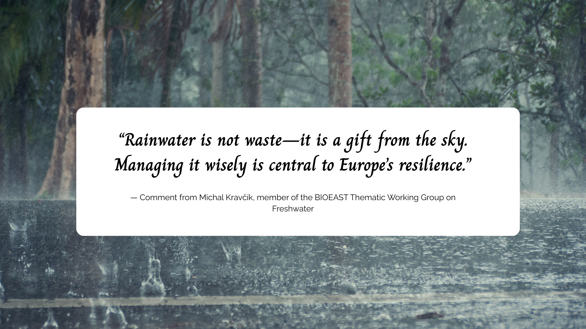 Conclusions of the BIOEAST TWG Freshwater-Based Bioeconomy Policy Expert Discussion